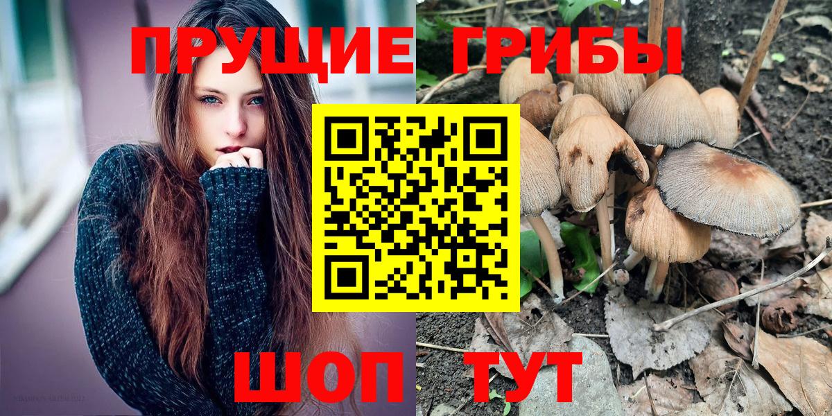 Усинск  Псилоцибиновые грибы мицелий  Вход с VPN 